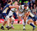 Northampton's James Downey spots a gap in the Leeds defence