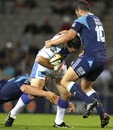 Western Force fly-half David Hill is tackled by the Blues' defence