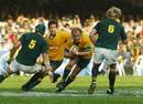 Phil Waugh charges at the Springbok defence