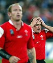 Gareth Thomas and Shane Williams show their disappointment