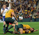 The Wallabies celebrate Drew Mitchell's first-half try