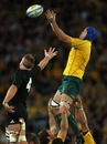 Australia's Nathan Sharpe out jumps New Zealand's Brad Thorn