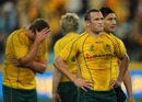 Matt Giteau is shattered by their defeat to New Zealand