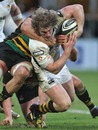 Wasps' Tom Rees is shackled by the Northampton defence