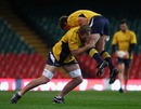 Rocky Elsom upends a team-mate during training