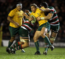 Luke Burgess is wrapped up by the Tigers defence