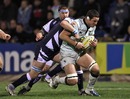 Northampton's Calum Clark is tackled by Sale's Carl Fearns