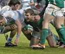 Ireland's Gordon D'Arcy celebrates scoring a try