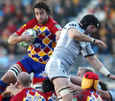 Perpignan's flanker Bertrand Guiry grabs the ball in a lineout