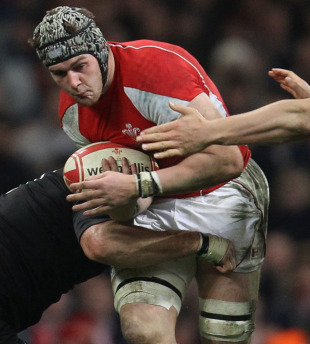 Wales flanker Dan Lydiate is tackled, Wales v New Zealand, Millennium Stadium, Cardiff, Wales, November 27, 2010
