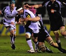Sale's Nick Macleod stretches the Newcastle defence