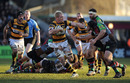 Wasps No.8 Andy Powell charges forward