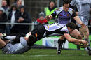 Exeter's Dave Ewers stretches for the line against Leicester