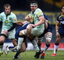  Northampton's Phil Dowson is upended against Leeds