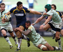 Northampton's Courtney Lawes clings on to Leeds' Luther Burrell