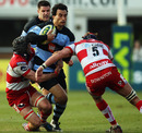 Newcastle's Tane Tu'ipulotu is shackled by the Gloucester defence