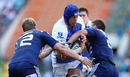 Western Force lock Nathan Sharpe charges forward