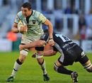 Northampton's Phil Dowson stretches the Newcastle defence