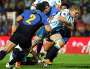 Bulls' Dewald Potgieter attempts to break through the Force defence