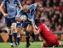 The Blues' John Afoa looks to force an opening