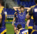 Otago's Jayden Spence is left disappointed at the full-time whistle