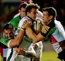 Northampton's Martin Roberts is crushed by two Quins defenders