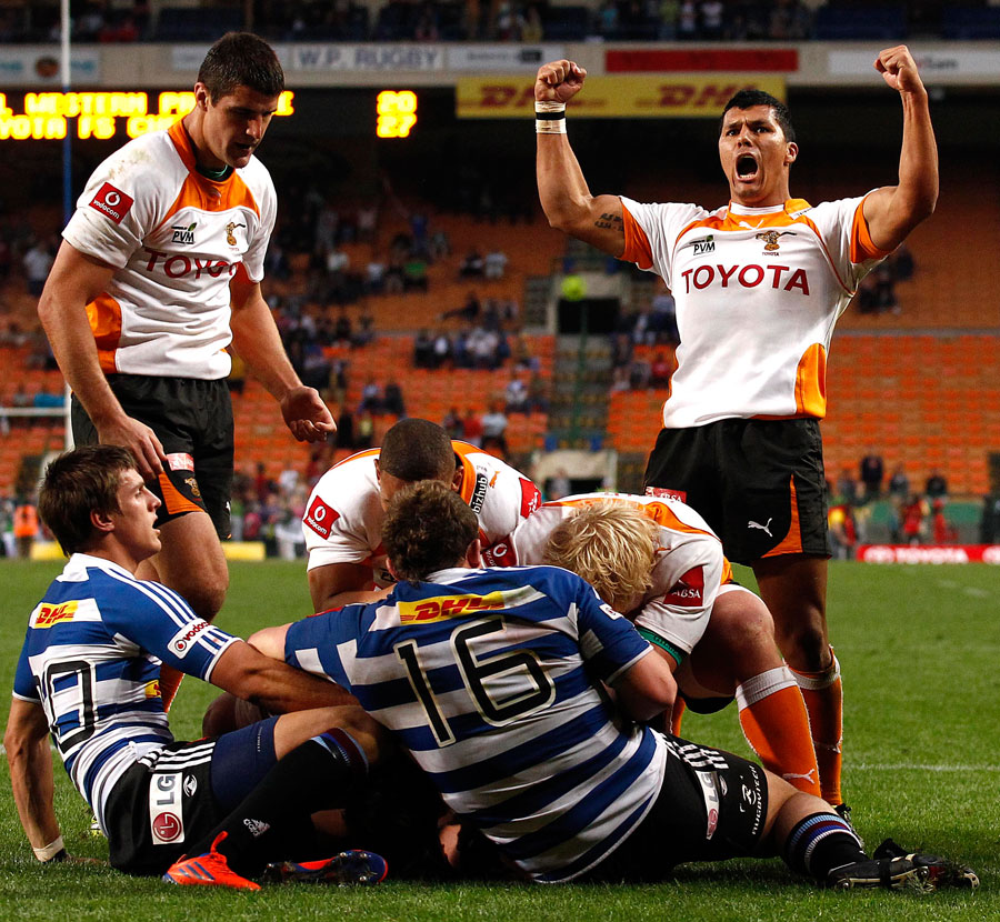 Tewis de Bruyn celebrates Coenie Oosthuizen's try for the Cheetahs