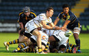 Wasps replacement scrum-half Charlie Davies releases his backs