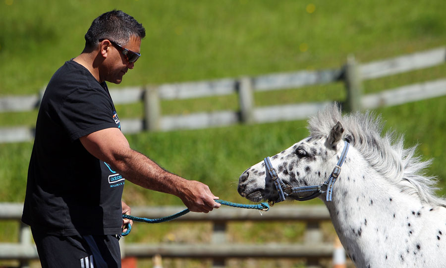 Highlanders coach Jamie Joseph gets to know his horse