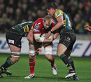 The Scarlets' Damian Welch looks to force an opening