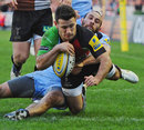 Try time for Harlequins' Danny Care