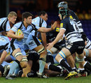 Newcastle's Ally Hogg looks to hand off James Gaskell