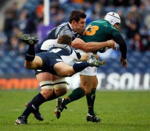 Mike Blair and Nathan Hines of Scotland tackle Adi Jacobs of South Africa during the rugby match between Scotland and South Africa at Murrayfield in Edinburgh, Scotland on November 15, 2008. 
