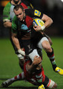 Harlequins' Ross Chisholm makes an impact against Gloucester