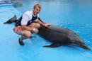 England skipper Chris Robshaw gets up close to a dolphin