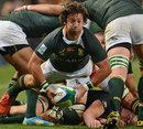 South Africa's Vian van der Watt feeds his backs
