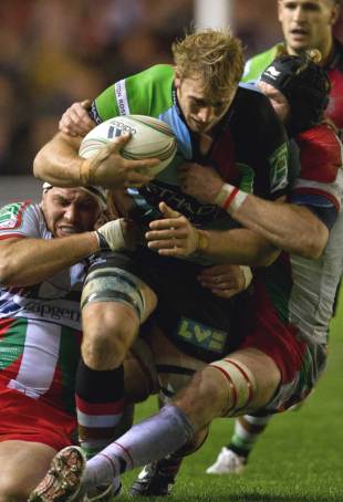 Harlequins' Chris Robshaw leads from the front