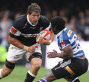 The Sharks' Willem Alberts goes on the attack