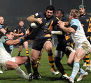 Bayonne's defence fails to halt Wasps centre Andrea Masi