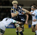 Richie Gray runs at the Worcester defence