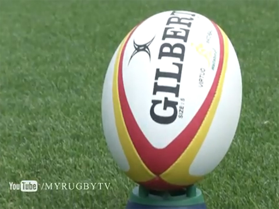 The 2013 British & Irish Lions match ball has been unveiled