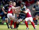 Worcester's Chris Jones is wrapped up by the London Welsh defence