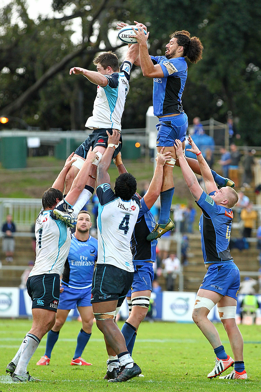 The Force's Sam Wykes takes a lineout