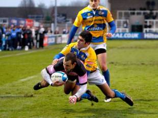 Newcastle Falcons scrum-half Micky Young crosses the line to score during his side's European Challenge Cup match with Overmach Parma at Kingston Park in Newcastle, England on December 14, 2008.  