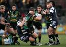 Northampton's Dylan Hartley pushes threw the Bristol defence 