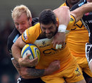 Wasps' Andrea Masi looks to force an opening