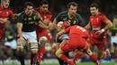 South Africa's Bismarck du Plessis takes the game to Wales