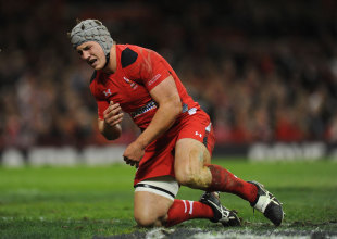 Jonathan Davies reacts after injuring himself, Wales v South Africa, Millennium Stadium, Cardiff, November 9, 2013