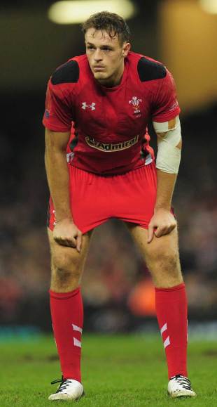 Wales' Cory Allen watches on against Argentina, Wales v Argentina, Millennium Stadium, Cardiff, November 14, 2013