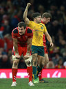 So close … Sam Warburton reflects on another defeat to Australia